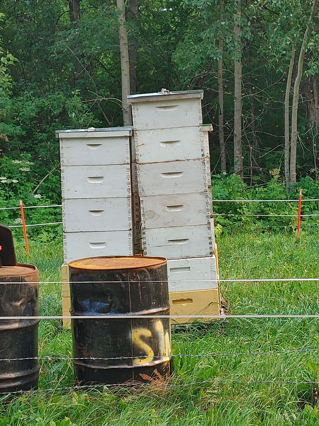 2021 Season photo 50